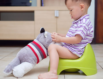 Toddler sat on potty with plush toy.